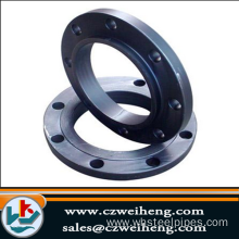 stainless steel PN16 Pipe Flange